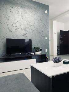 馨之家-华人公寓民宿 三室一厅