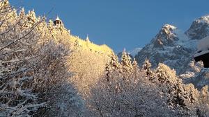 Apartment Hohenwerfen