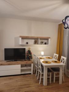 APARTAMENT-SADOWA