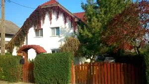 Viola Vendégház - 佐洛恰尼