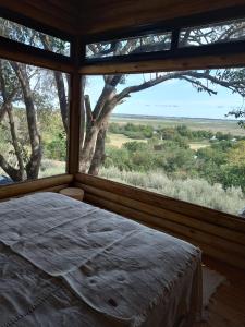 Cabaña Paso de los barcos