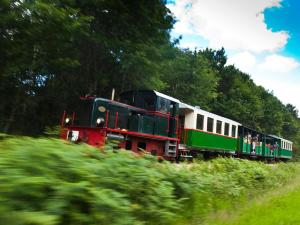 Maison de vacances avec grande piscine et tennis, proche du Zoo de Beauval et des Châteaux de la Loire - FR-1-591-47