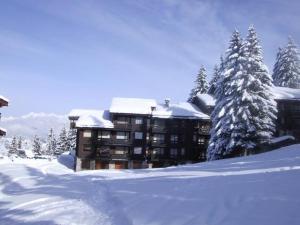 Appartements Studio Valmorel, 1 piece, 3 personnes - FR-1-356-204 : Studio