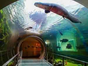 Nasushiobara Ichimantei