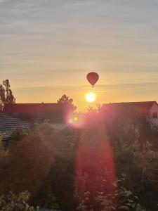 Appartements Tres Proche Colmar Evasion sur la route des Vins : photos des chambres