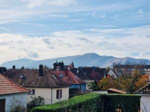 Appartements Tres Proche Colmar Evasion sur la route des Vins : photos des chambres