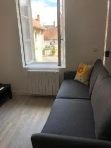 Sancerre Sunflower - Tournesol de Sancerre - 桑塞尔 Sancerre Sunflower - Tournesol de Sancerre - 桑塞尔