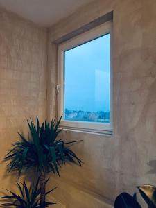 馨之家-华人公寓民宿 二室一厅