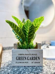 Cosy apartment near the beach