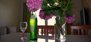 Apartment in Poljana with sea view, terrace, air conditioning, WiFi 3617-4