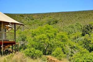 Garden Route Safari Camp