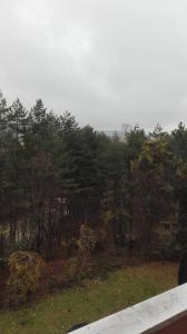 Ljubicica - Sunčani Vrhovi