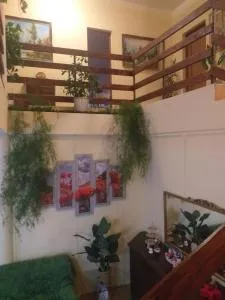 Casa Maria - Szinérváralja