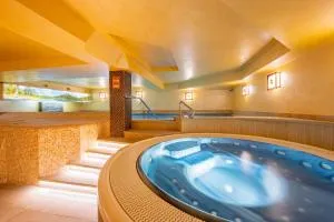 David Wellness Hotel