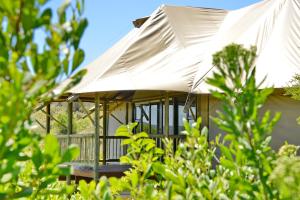 Garden Route Safari Camp