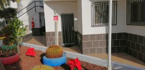 Agua Viva Beach