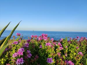 Vista al Mar, Ferienwohnung, Traumhafter Meerblick, Seaview