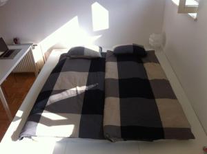 The cute, sunny apartment in the center +P 