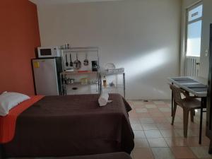 HABITACIÓN AZALEA, BAÑO PRIVADO Y COCINETA.