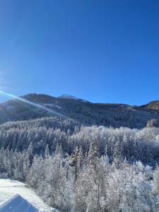 Appartements LE DOUX MELEZE : photos des chambres