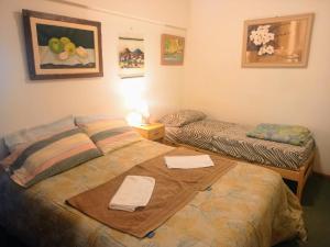 Depto Céntrico Luminoso