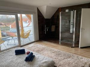 Appartements Maison detente equipee d un grand spa et sauna : photos des chambres