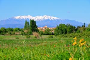 Hotels Premiere Classe Perpignan Nord : photos des chambres