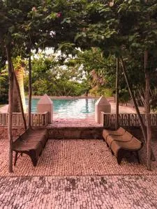 Club de Patos - Sisal