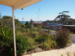 Tiptoe Hyams Beach