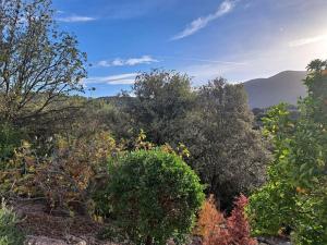 Villas Villa de charme avec piscine entre Ajaccio et Porticcio : photos des chambres