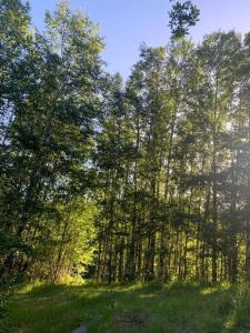"Refugio Pulli" Tierra y naturaleza