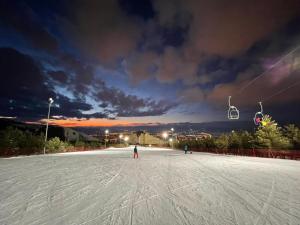 Sport és szabadidő