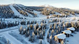 Holiday homes Ruka