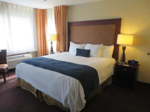 King Room room in Ivy Court Inn and Suites