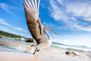 Reflections Seal Rocks - Holiday Park