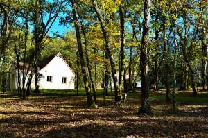 Maisons de vacances Gite Spa & Nature : photos des chambres