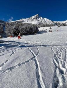 Appartements Laye Station - Appartement pieds des pistes : photos des chambres