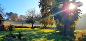 Maisons de vacances Le Vieux Moulin Gites - A charming stone cottage with garden view and seasonal pool : photos des chambres