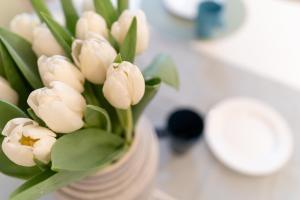 Ricco di comfort, grande, luminoso e comodo