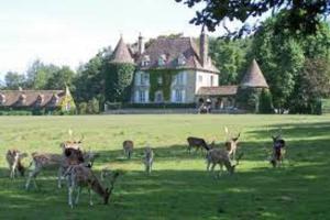 Maisons de vacances Au Calme Absolu chez Nicolas : photos des chambres