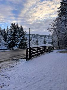 Penthouse luxury Predeal View