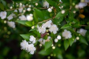 Affittacamere S'Alzola img37