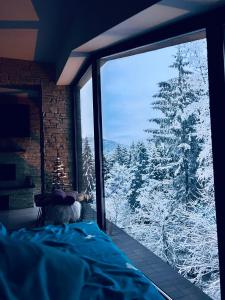 Penthouse luxury Predeal View