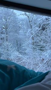 Penthouse luxury Predeal View