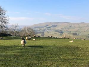 Quarry Cottage near Hawes, Yorkshire Dales, Pet free