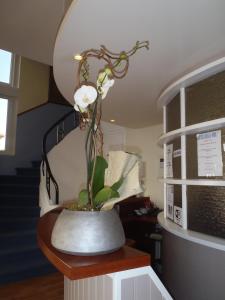 Hotels Hotel Belle Vue Royan : photos des chambres