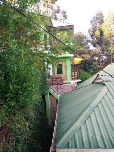 Galapagos Homestay