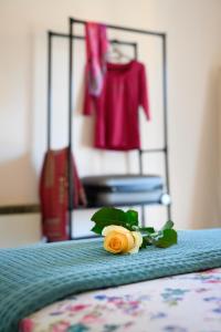 Apartment CALLAS in Corfu Town