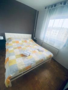 Apartman Jarun