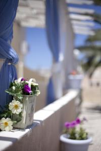 Angel Studios Dahlia Collection Santorini Greece